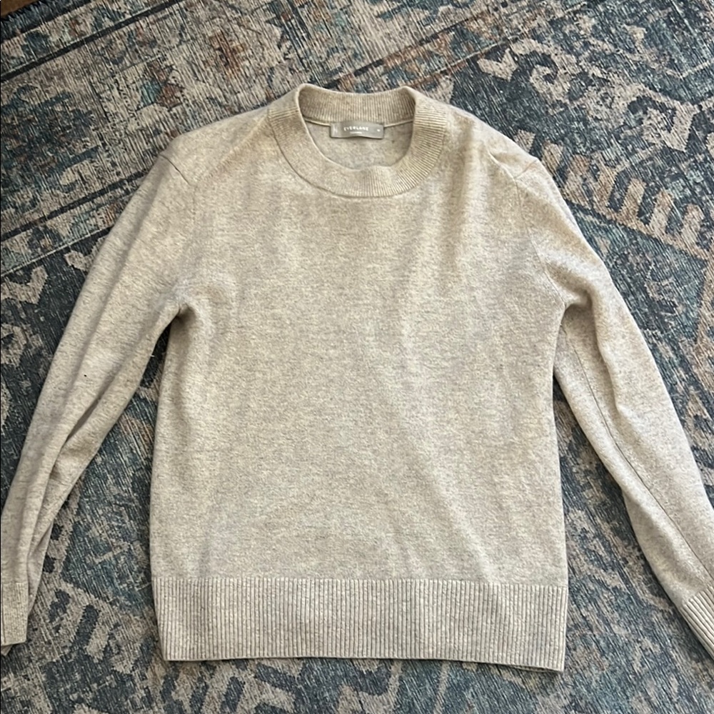Everlane The Classic Crew in Cashmere